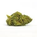 Susz konopny ENECTALIANA CBD 1g