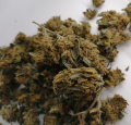 Susz CBD Kompolti 8% CBD 20gr 
