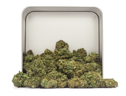 Susz konopny POPOLO 14% CBD  XL 10/20/30g