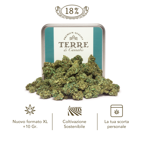 Susz konopny VOLARE 18% CBD XL 10/30g