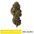 Susz CBD Pineapple Express 26% CBD 1gr 