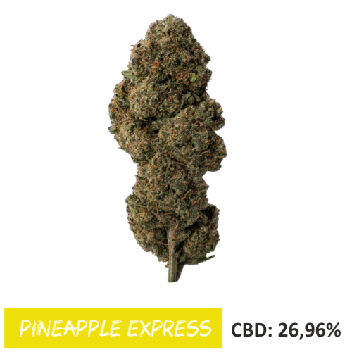 Susz CBD Pineapple Express 26% CBD 1gr 