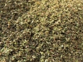 Susz konopny 8% CBD/CBDa 50g - Kombinat Konopny