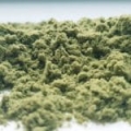 Pyłek konopny 12%  CBD/CBDA trichomy BIO 10g