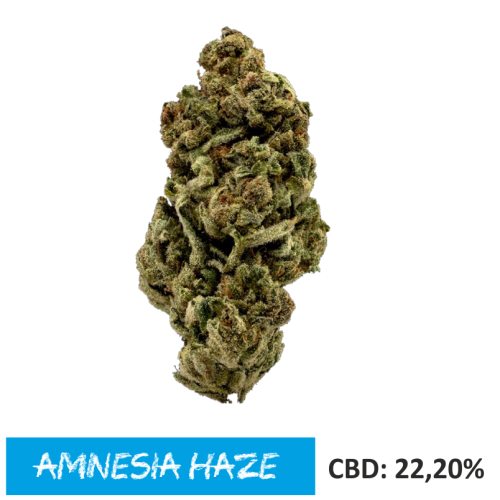 Susz CBD Amnesia Haze 22% CBD 1gr 