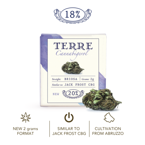 Susz konopny CBG Briosa 20% 2gr 