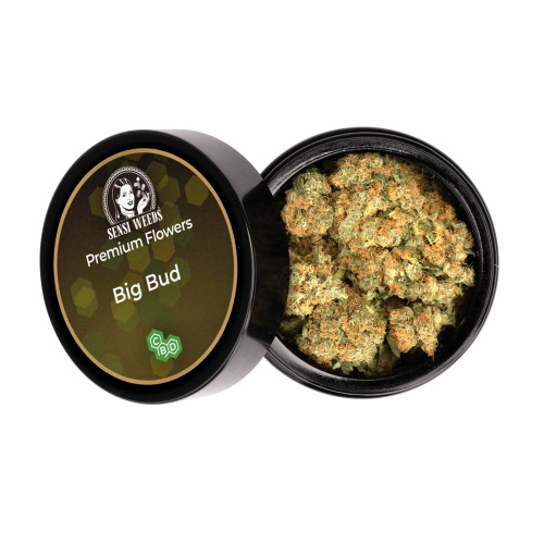 Susz konopny CBD Big Bud - Sensi Weeds 
