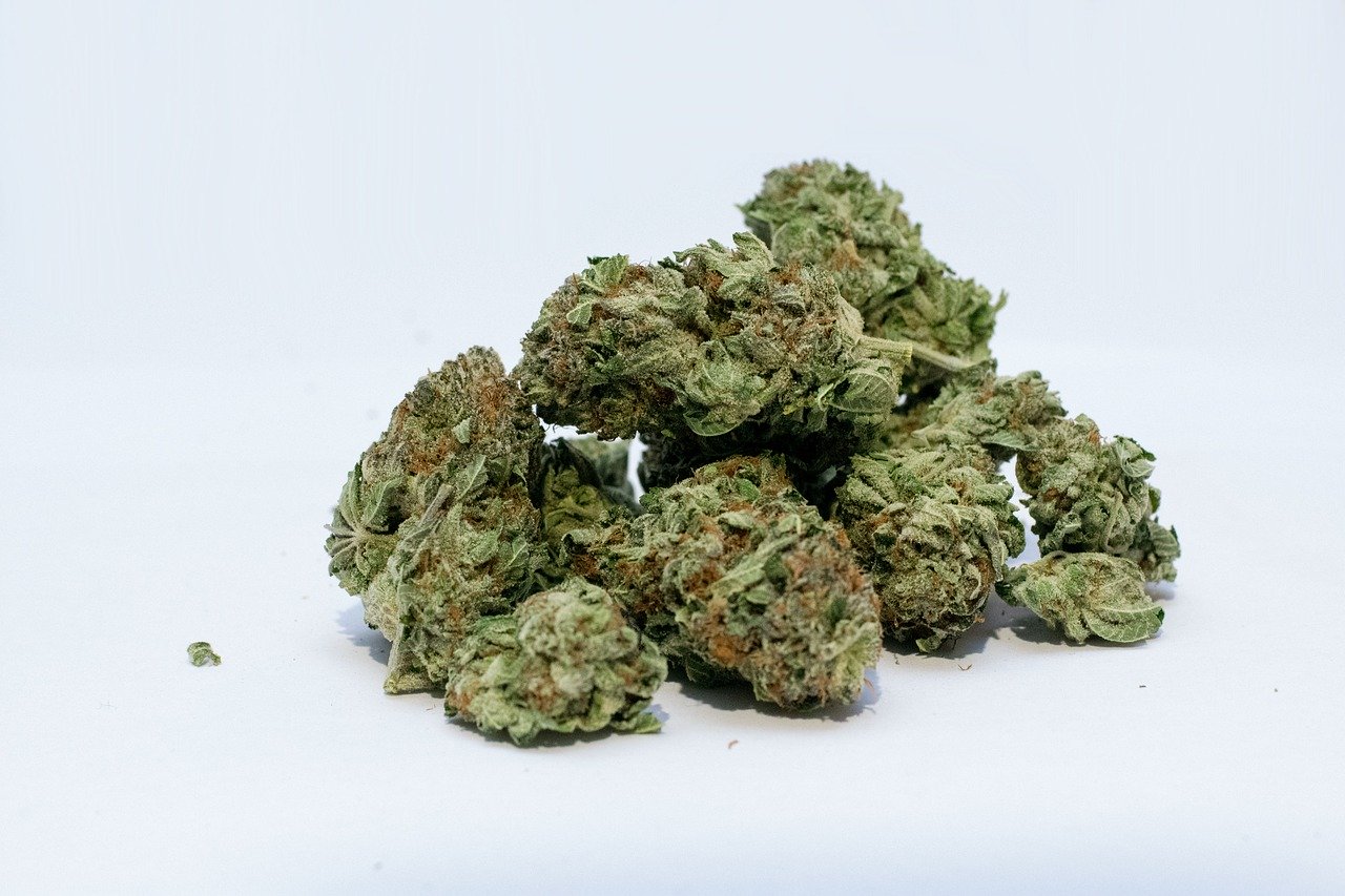 Co to susz konopny CBD