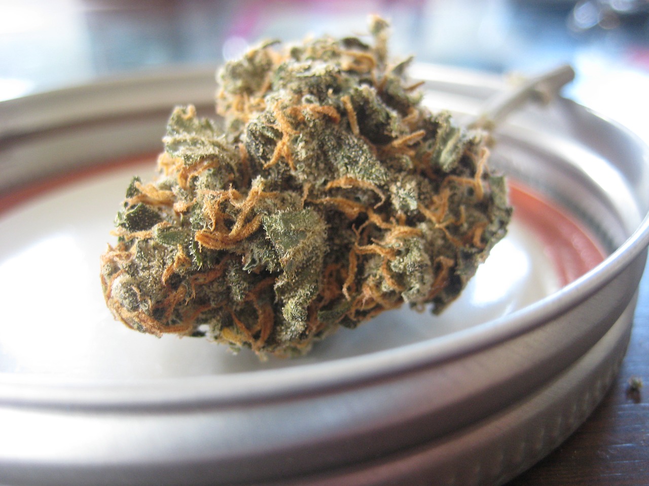 Terpeny konopne i ich działanie