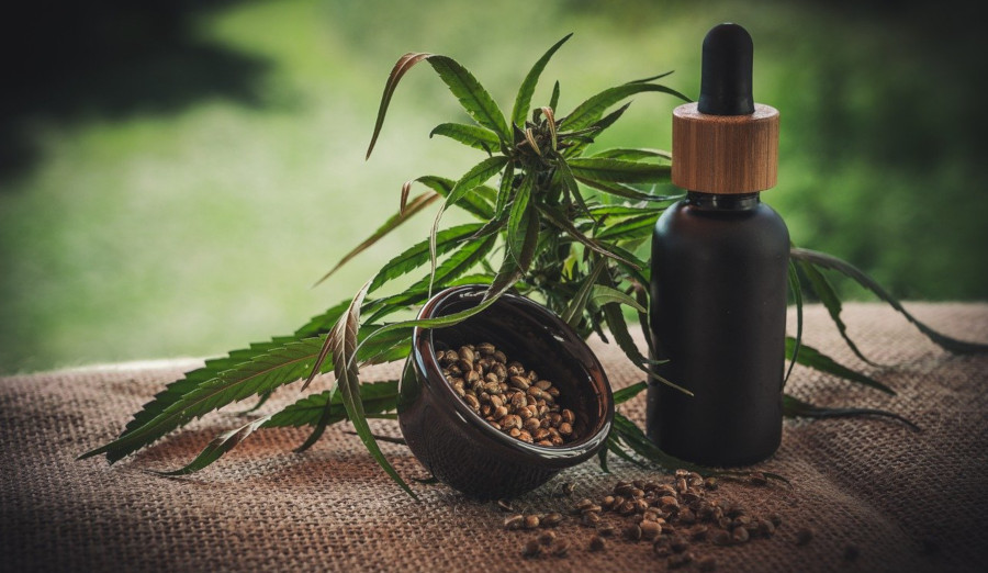 Olejek CBD - czy leczy nerwicę?
