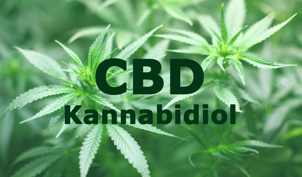 Co to jest CBD?