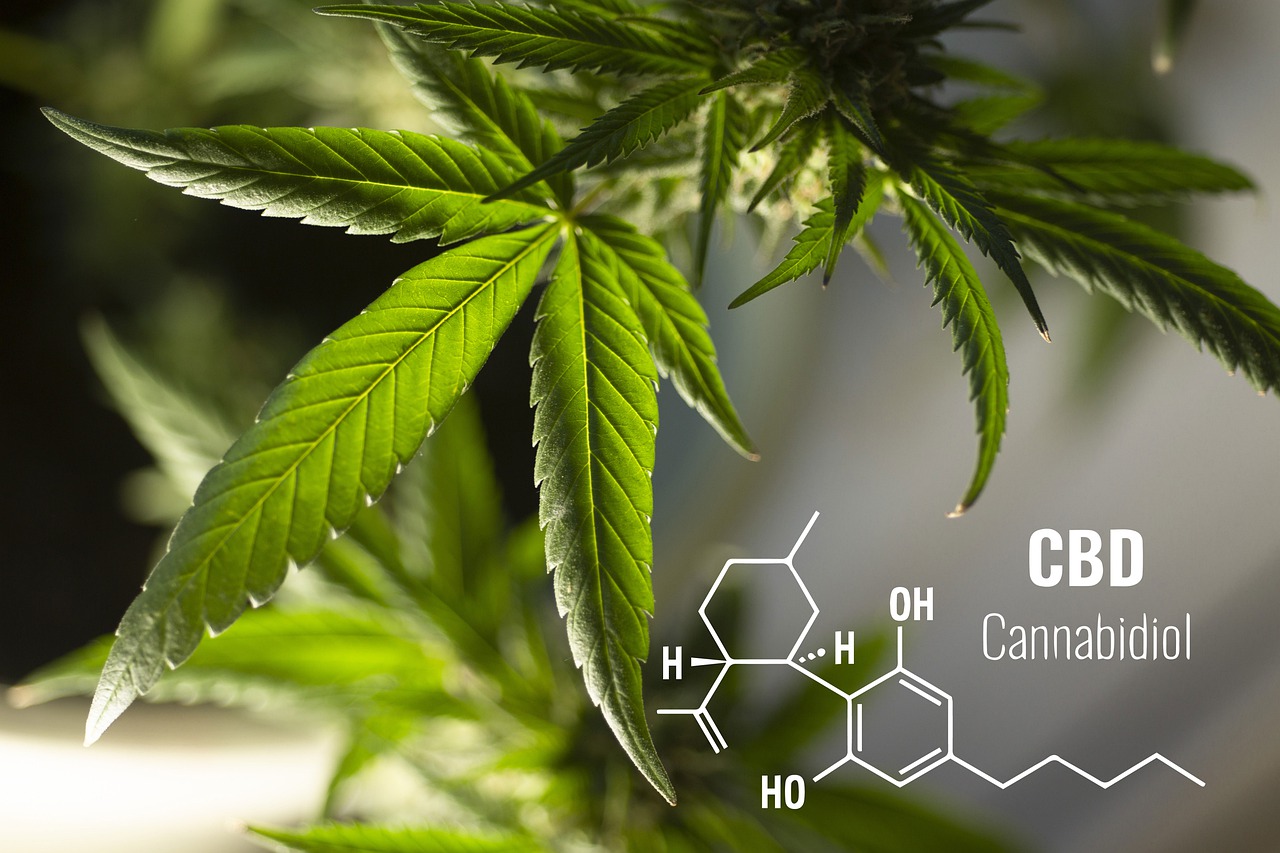 Jaki produkt z CBD wybrać?